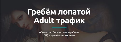 Гребём лопатой Adult трафик - белая схема заработка 50$ в день без вложений (2016).jpg