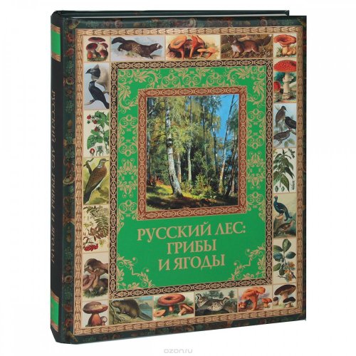 Русский лес. Грибы и ягоды.jpg