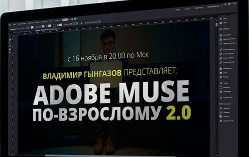 Гынгазов - Adobe Muse по-взрослому 2.0 (2015).jpg